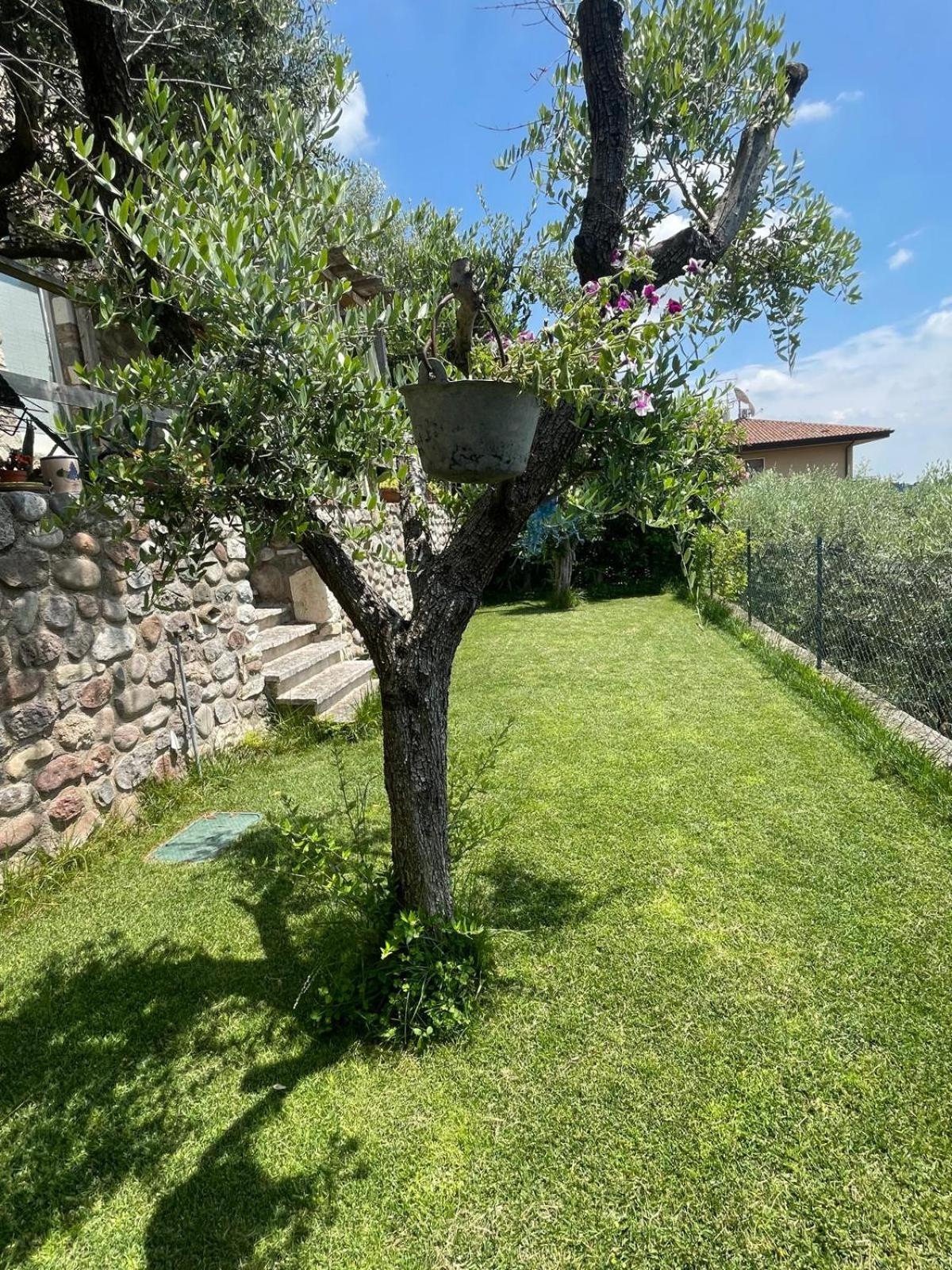 Garden Room Cavaion Veronese Exteriör bild